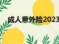 成人意外险2023推荐（意外险买哪个好）