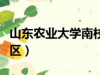 山东农业大学南校区邮编（山东农业大学南校区）