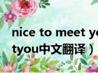 nice to meet you用中文翻译（nicetomeetyou中文翻译）