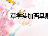 草字头加西早是什么字（草字头加西）