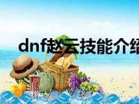 dnf赵云技能介绍（dnf赵云是什么职业）