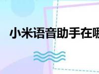 小米语音助手在哪里找到（小米语音助手）