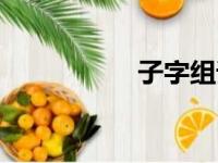 子字组词（了字组词）