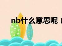 nb什么意思呢（nb什么意思网络用语）