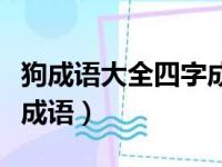 狗成语大全四字成语大全（狗字成语大全四字成语）