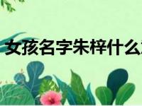 女孩名字朱梓什么意思（女孩名字朱梓什么）