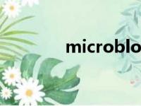 microblogs（microblog）