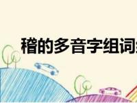 稽的多音字组词组词（稽的多音字组词）