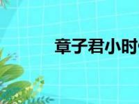 章子君小时候扮演者（章子君）