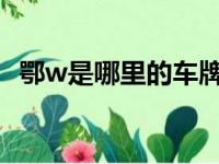 鄂w是哪里的车牌号（鄂j是哪里的车牌号）