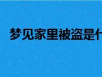 梦见家里被盗是什么预兆（梦见家里被盗）