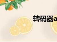 转码器app下载（转码）