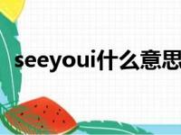 seeyoui什么意思（seeyou什么意思中文）