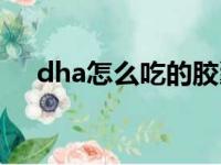 dha怎么吃的胶囊能吃吗（dha怎么吃）