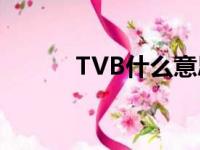 TVB什么意思?（tvb什么意思）