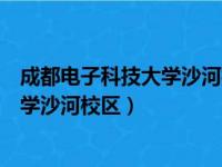 成都电子科技大学沙河校区中外合作办学（成都电子科技大学沙河校区）