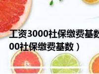 工资3000社保缴费基数按4000是公司是否合法呢（工资3000社保缴费基数）