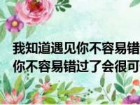 我知道遇见你不容易错过了会很可惜出自哪里（我知道遇见你不容易错过了会很可惜）