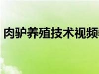 肉驴养殖技术视频教程大全（肉驴养殖技术）