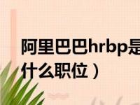 阿里巴巴hrbp是什么级别（阿里巴巴hrg是什么职位）