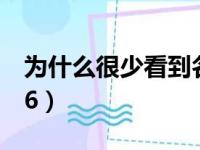 为什么很少看到名爵6（为什么不推荐买名爵6）