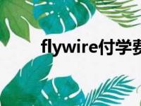 flywire付学费步骤详解（flywire）