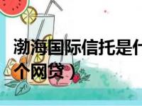 渤海国际信托是什么公司（渤海国际信托是哪个网贷）