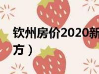 钦州房价2020新报价（钦州房价多少钱一平方）