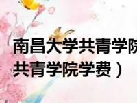 南昌大学共青学院学费多少钱一年（南昌大学共青学院学费）