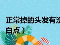 正常掉的头发有没有白点（正常掉发到底有无白点）