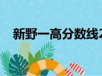 新野一高分数线2023（新野一高分数线）