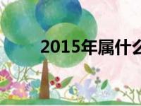 2015年属什么年（2015年属什么）