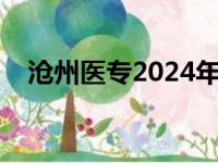 沧州医专2024年单招计划表（沧州医专）