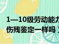 1—10级劳动能力鉴定标准（劳动能力鉴定和伤残鉴定一样吗）