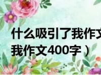 什么吸引了我作文400字怎么写（什么吸引了我作文400字）