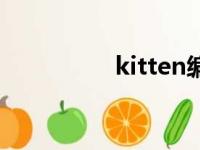 kitten编程器（kitten）