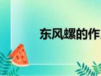 东风螺的作用与功效（东风螺）