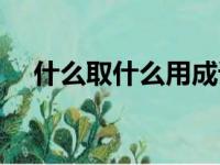 什么取什么用成语（什么取什么求成语）