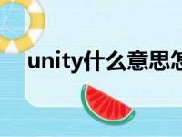 unity什么意思怎么读（unity什么意思）