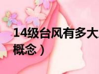 14级台风有多大威力视频（14级台风是什么概念）