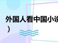 外国人看中国小说的评价（外国人看中国小说）