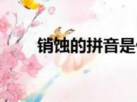 销蚀的拼音是什么意思（销蚀读音）