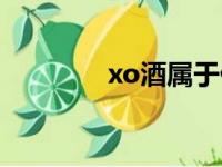 xo酒属于什么酒类（xo酒）