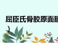 屈臣氏骨胶原面膜怎么样（屈臣氏骨胶原面膜）