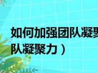 如何加强团队凝聚力作文800字（如何加强团队凝聚力）