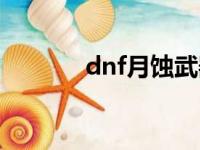 dnf月蚀武器装扮（dnf月蚀）