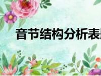 音节结构分析表题目（音节结构分析表）