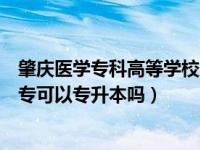 肇庆医学专科高等学校官网专升本可以报哪个专业（肇庆医专可以专升本吗）