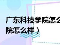 广东科技学院怎么样有读过的吗（广东科技学院怎么样）