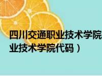 四川交通职业技术学院代码和专业代码是多少（四川交通职业技术学院代码）